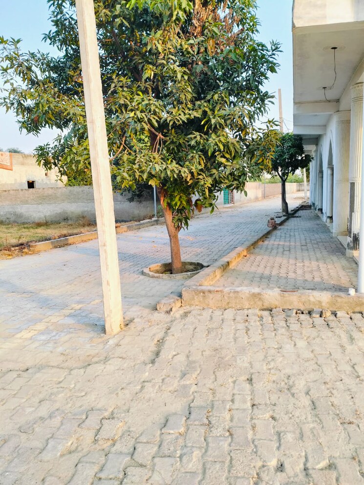 Exterior View, tilapta  100 Sq.Yd. Plot In Tilapta Greater Noida 8984582