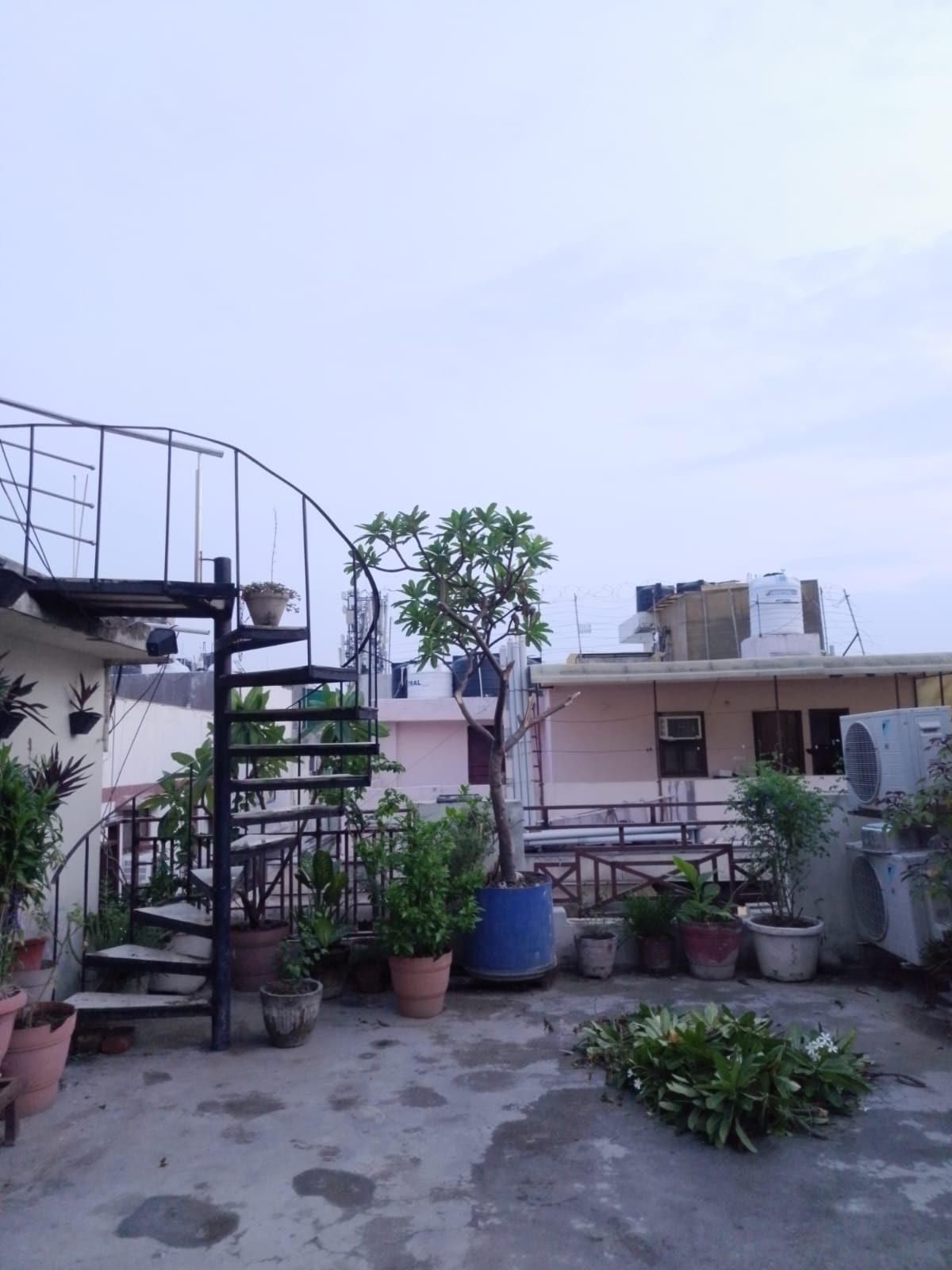1 BHK + Pooja Room Independent House For Rent in Vikas 