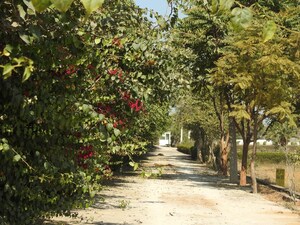  Plot – Garden View at Harit Aawasiya Yojana, Sector 24 Yamuna Expressway - for Sale