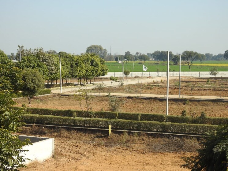 undefined, harit-aawasiya-yojana  100 Sq.Yd. Plot In Sector 24 Yamuna Expressway Greater Noida 8984618