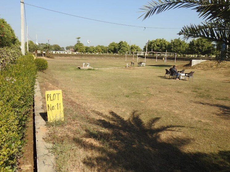 undefined, harit-aawasiya-yojana  100 Sq.Yd. Plot In Sector 24 Yamuna Expressway Greater Noida 8984618