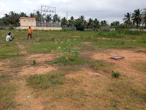  Plot For Sale in Mallasandra