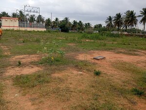 Plot Area in  Plot at Mallasandra – for Sale