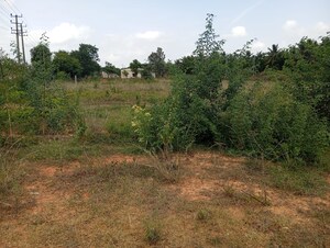 Plot Area in  Plot at Mallasandra – for Sale