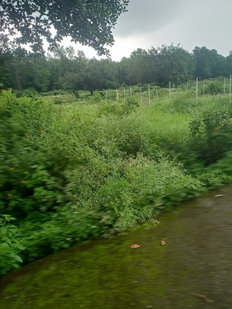 undefined, bidholi  1800 Sq.Ft. Plot In Bidholi Dehradun 8926810