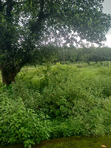  Plot – Garden View at Bidholi - for Sale