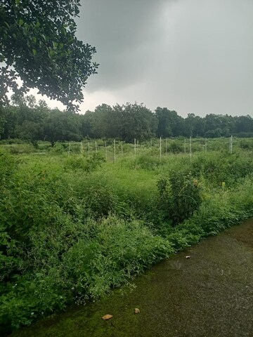 Plot Area in  Plot at Bidholi – for Sale