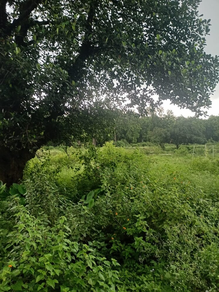 undefined, bidholi  1800 Sq.Ft. Plot In Bidholi Dehradun 8926810