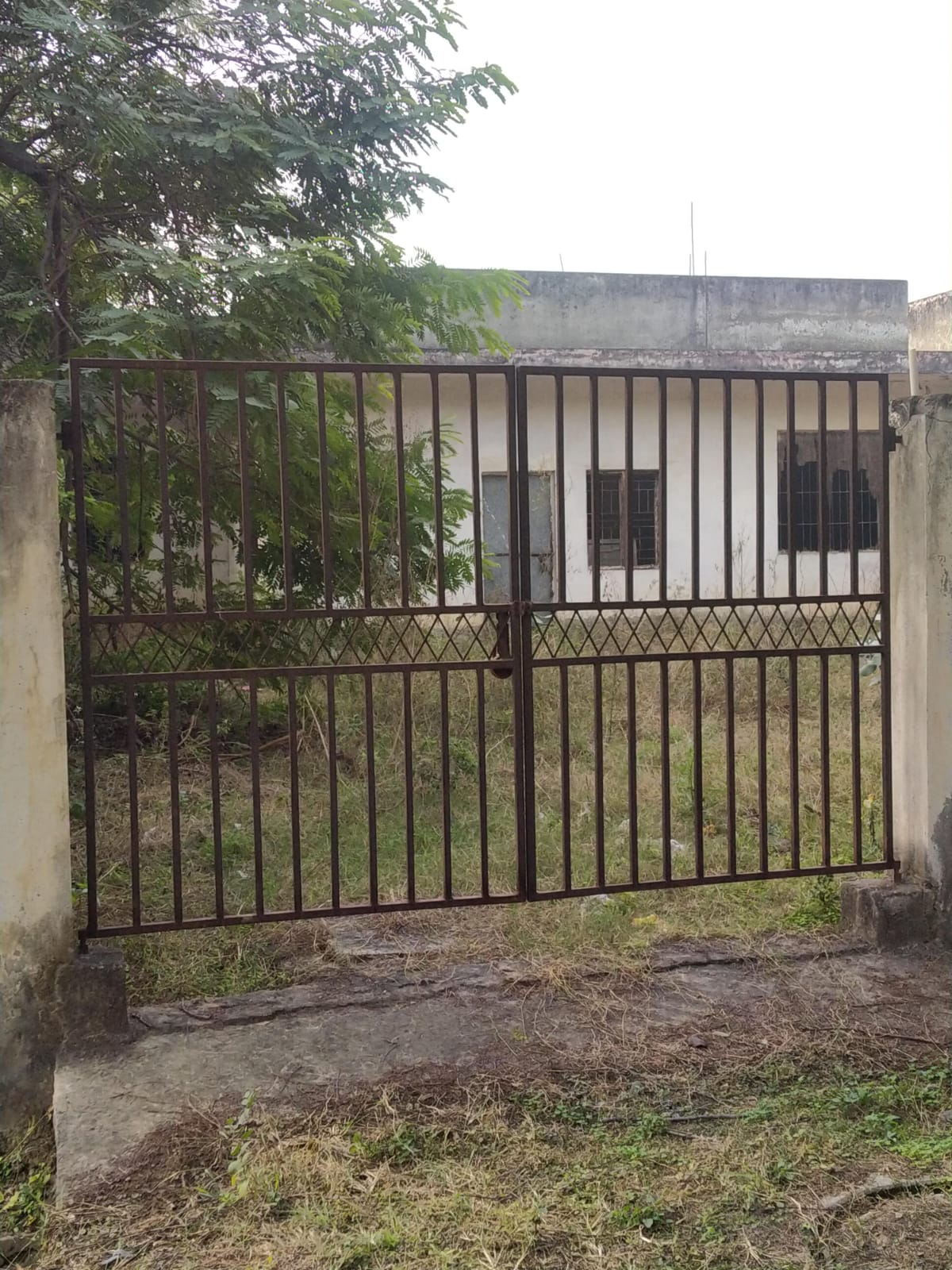 3 BHK Independent House For Sale in Delta III Greater Noida