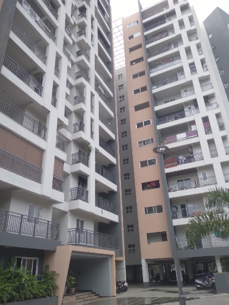 2 BHK Apartment For Rent in DSR RR Avenues