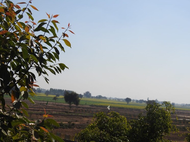 Garden, sai-enclave  60 Sq.Yd. Plot In Saini Greater Noida 8985335