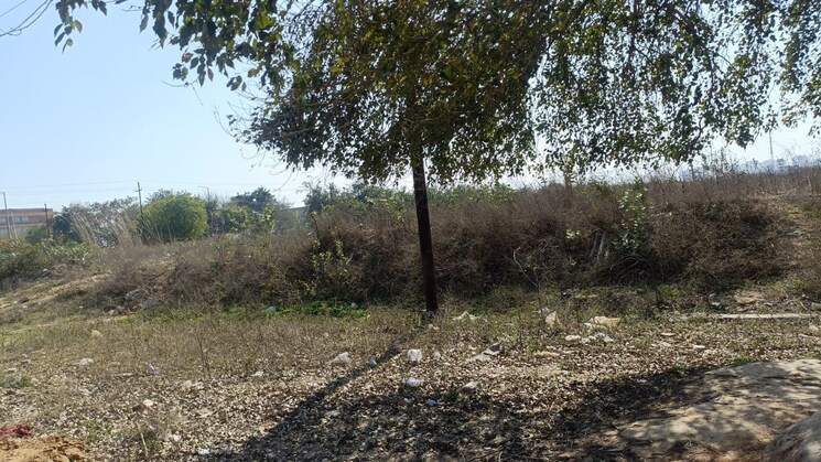 undefined, sai-enclave  60 Sq.Yd. Plot In Saini Greater Noida 8985335