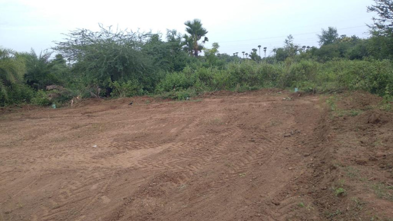 Plot For Sale in Malhour