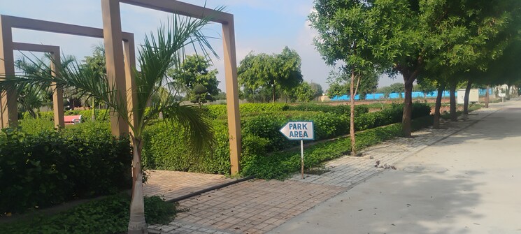 Garden, omaxe-world-homes  120 Sq.Yd. Plot In Sector 97 Faridabad 8985599