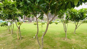 3 BHK Apartment – Garden View at Purvanchal Sunbliss, Sector 22d Yamuna Expressway - for Sale