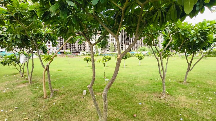 Garden, purvanchal-sunbliss 3 Bedroom 1730 Sq.Ft. Apartment In Sector 22d Yamuna Expressway Greater Noida 8985709