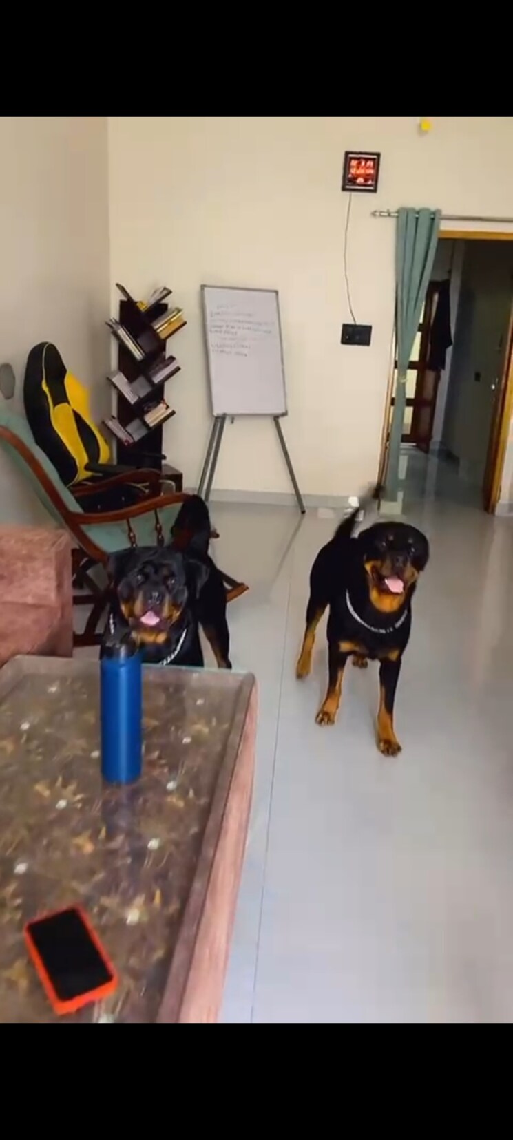 Team Area, aman vihar 2 Bedroom 1200 Sq.Ft. Builder Floor In Aman Vihar Dehradun 8985745