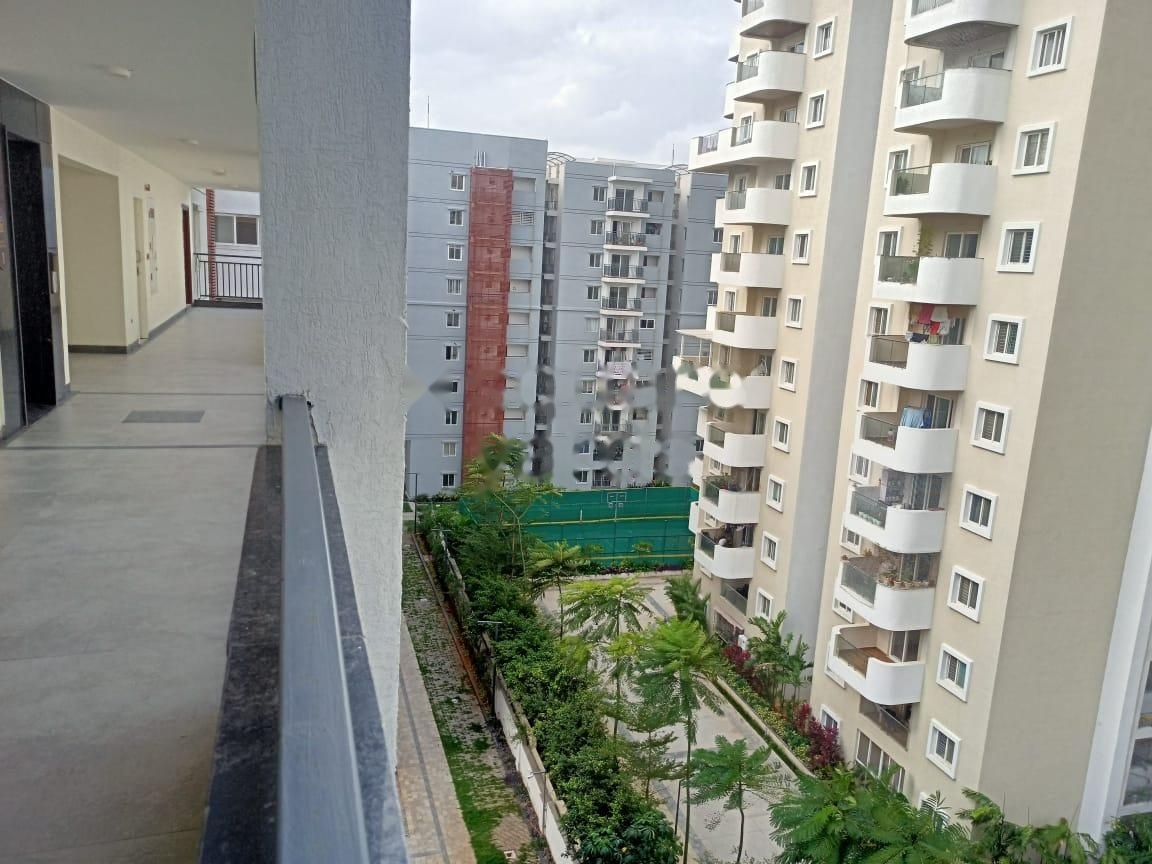 3 BHK Apartment For Rent in Hallmark Sunnyside