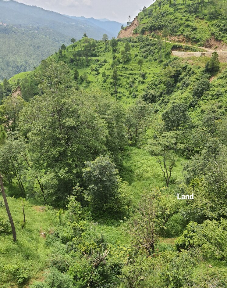 Garden, mehli  1800 Sq.Yd. Plot In Mehli Shimla 8986486