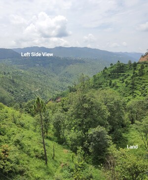  Plot – Garden View at Mehli - for Sale