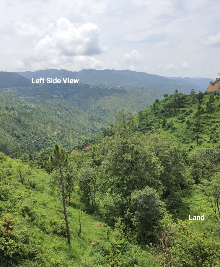 Garden, mehli  1800 Sq.Yd. Plot In Mehli Shimla 8986486