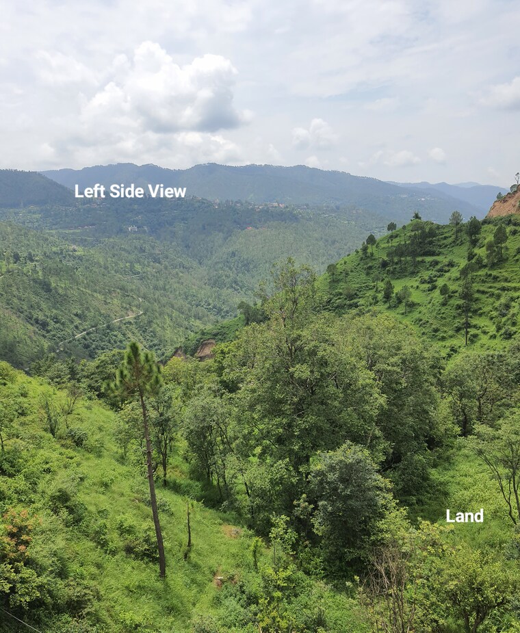 Garden, mehli  1800 Sq.Yd. Plot In Mehli Shimla 8986486