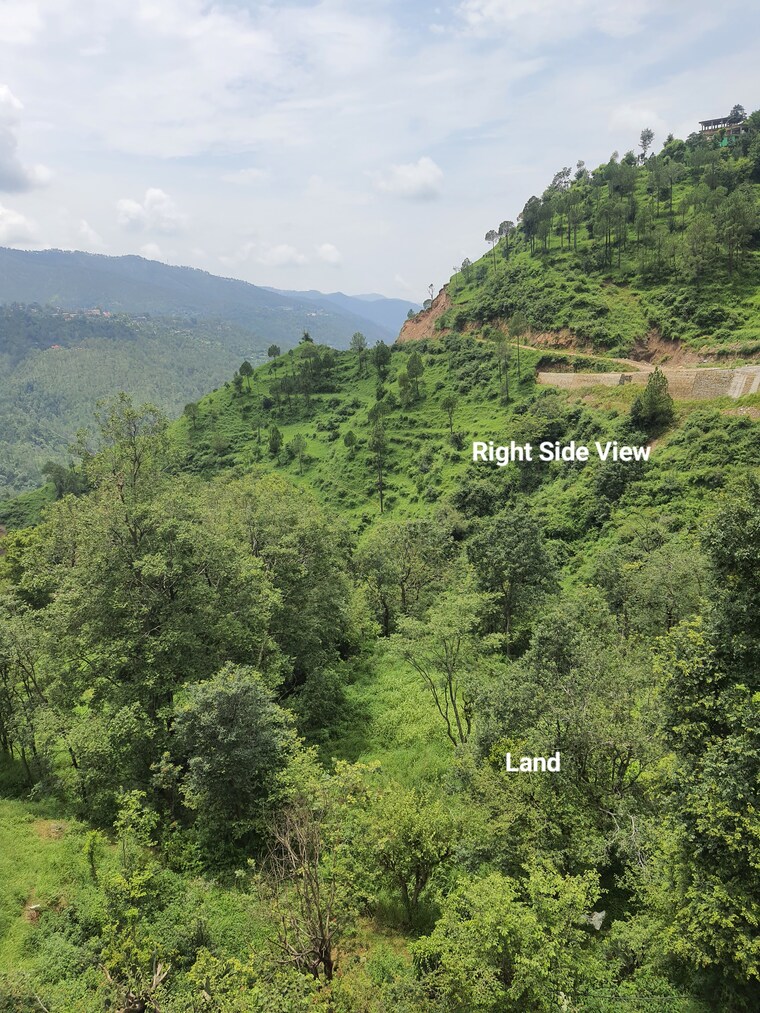 Garden, mehli  1800 Sq.Yd. Plot In Mehli Shimla 8986486