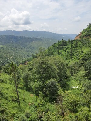  Plot – Garden View at Mehli - for Sale