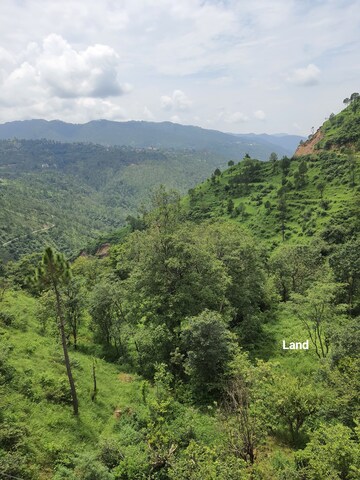  Plot – Garden View at Mehli - for Sale
