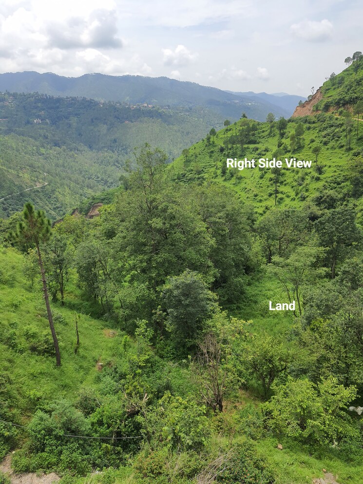 Garden, mehli  1800 Sq.Yd. Plot In Mehli Shimla 8986486