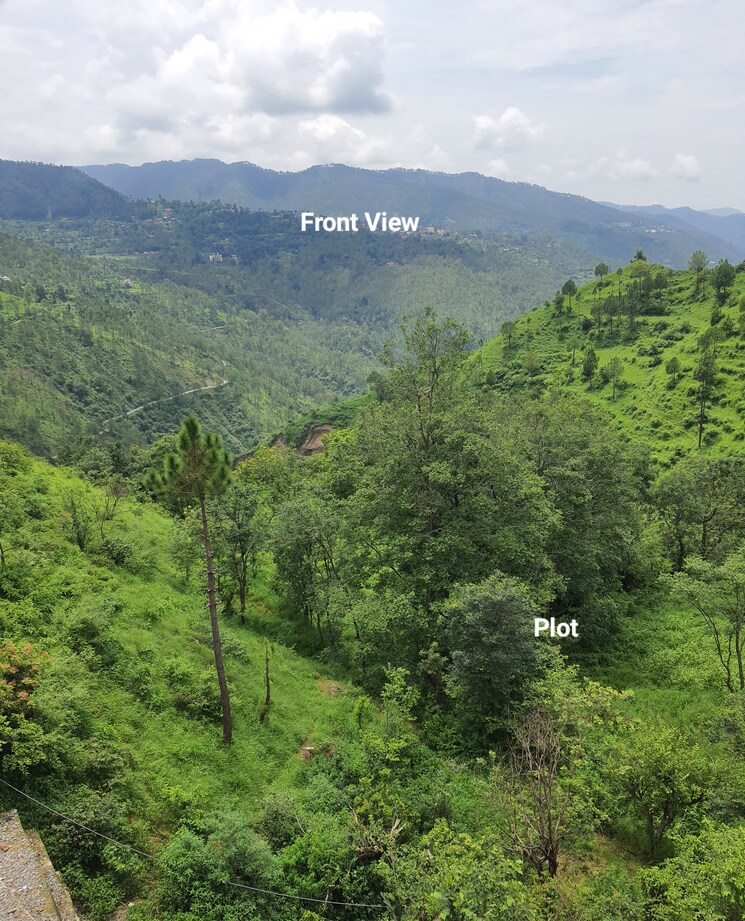 Garden, mehli  1800 Sq.Yd. Plot In Mehli Shimla 8986486