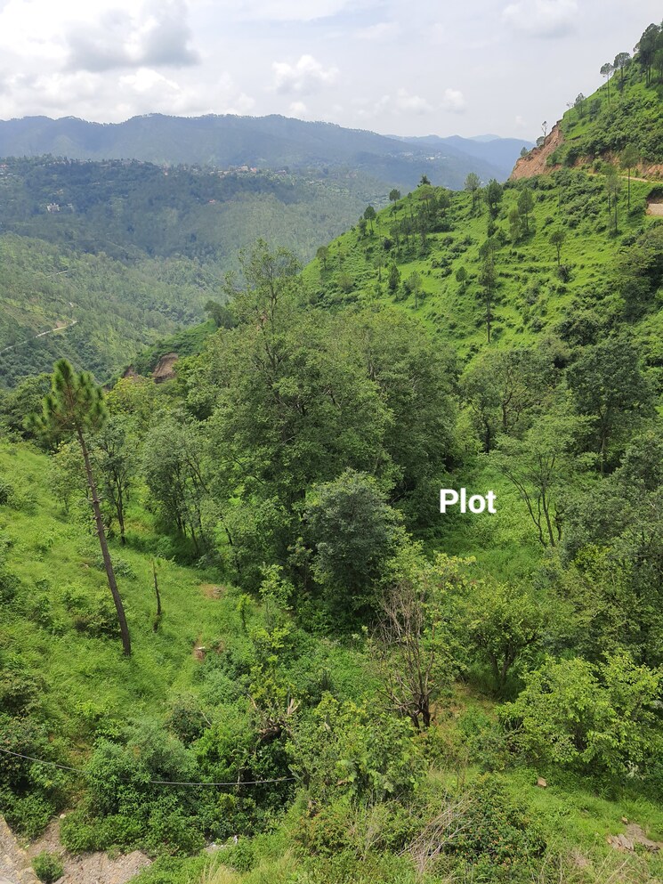 Garden, mehli  1800 Sq.Yd. Plot In Mehli Shimla 8986486