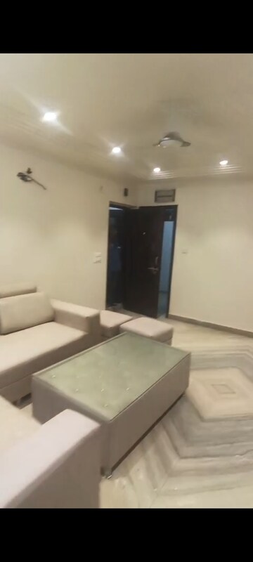 Furnished Amenities in 3 BHK Builder Floor at Pitampura – for Rent