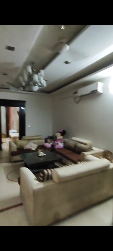Living Room in 3 BHK Builder Floor at Kohat Enclave – for Rent