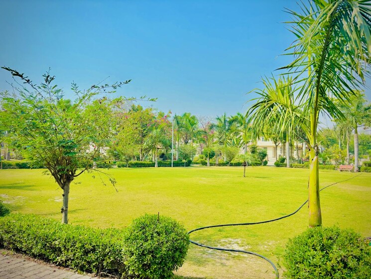 Garden, zestha-bhagirath-vihar-residency  250 Sq.Yd. Plot In Sector 27 Yamuna Expressway Greater Noida 8986832