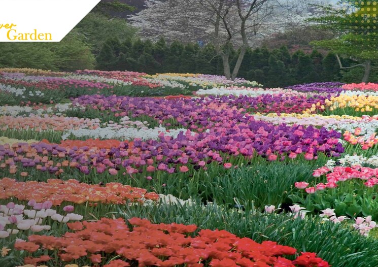 Garden, ev-9-square 3 Bedroom 1850 Sq.Ft. Apartment In Vashi Sector 9 Navi Mumbai 8986894