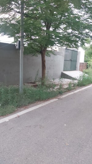  Plot For Sale in Bhai Randhir Singh Nagar
