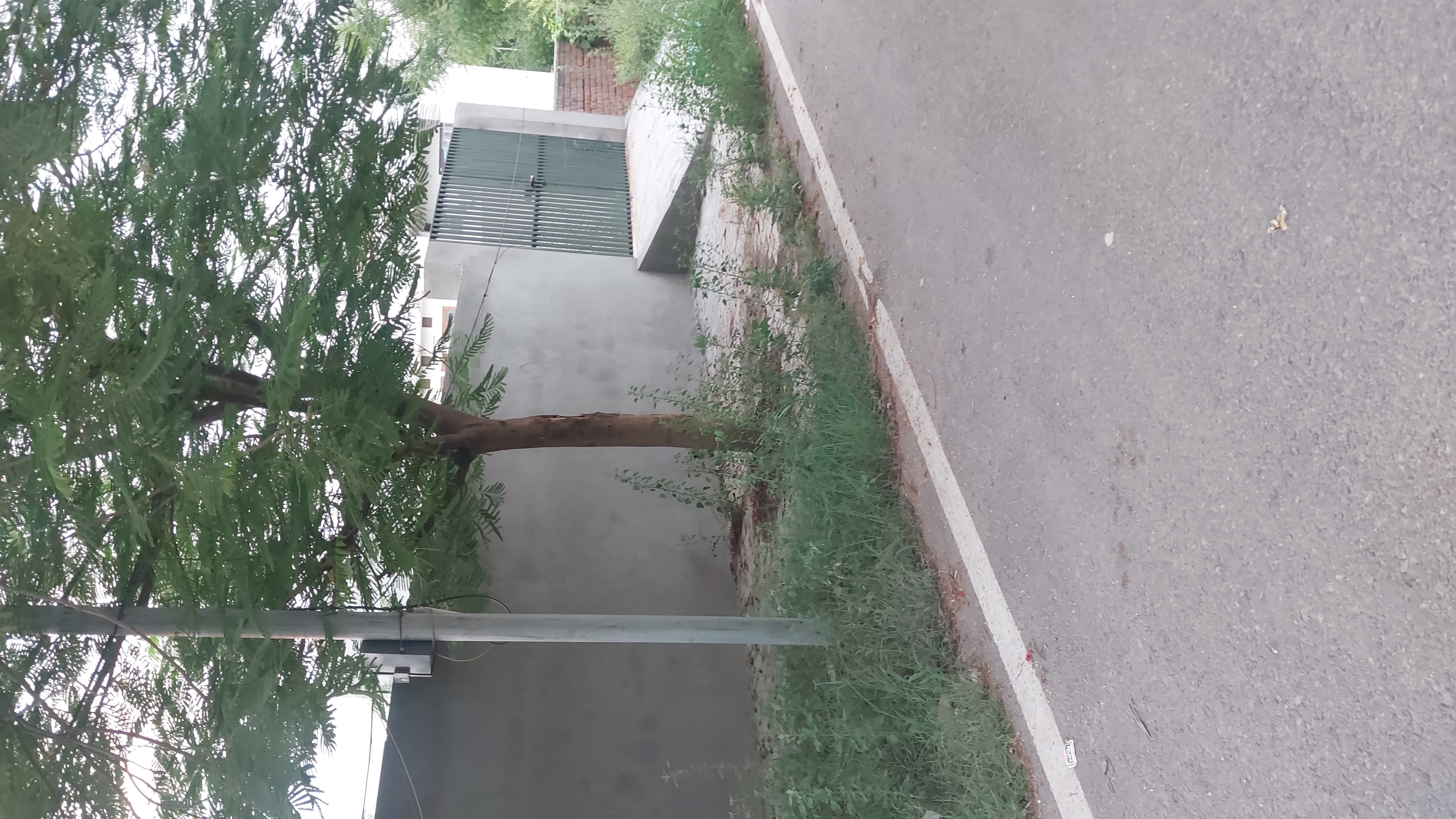Plot For Sale in Bhai Randhir Singh Nagar