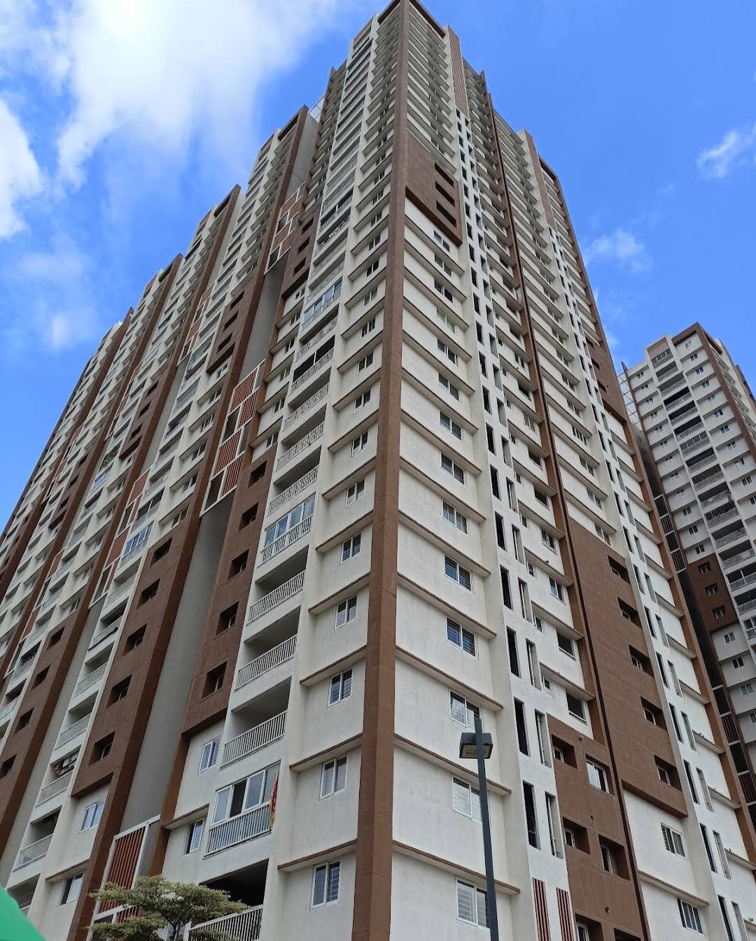 3 BHK Apartment For Rent in My Home Avatar