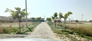  Plot – Garden View at Chaumuhan - for Sale