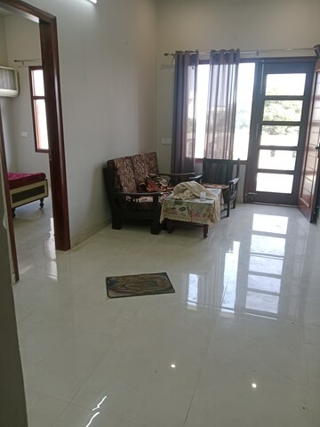 3 BHK Builder Floor For Rent in Sector 13