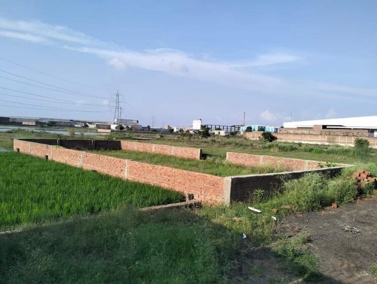 undefined, phulwari sharif  1200 Sq.Ft. Plot In Phulwari Sharif Patna 8987288