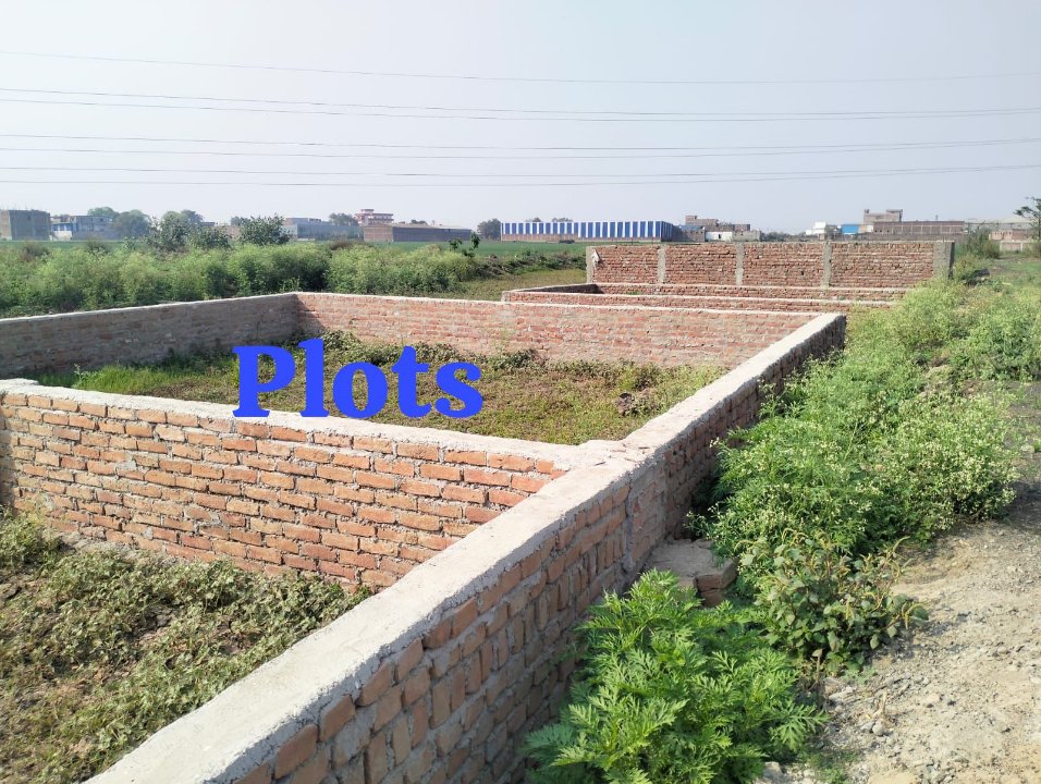 Plot For Sale in Phulwari Sharif