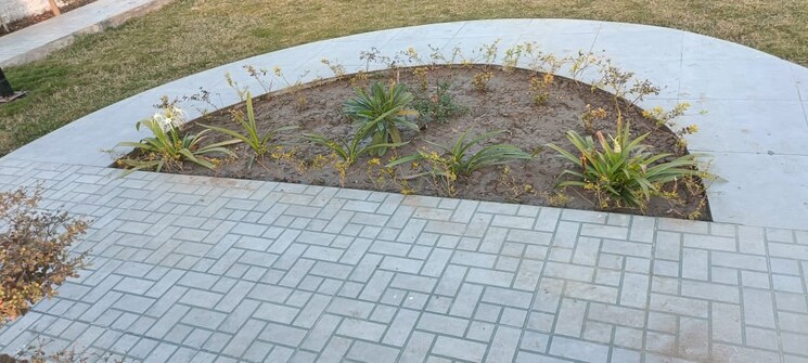 Exterior View, ajmer road  111 Sq.Yd. Plot In Ajmer Road Jaipur 8987374