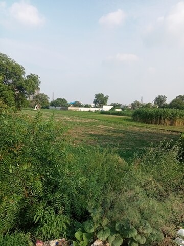 Plot Area in  Plot at Dharampur – for Sale