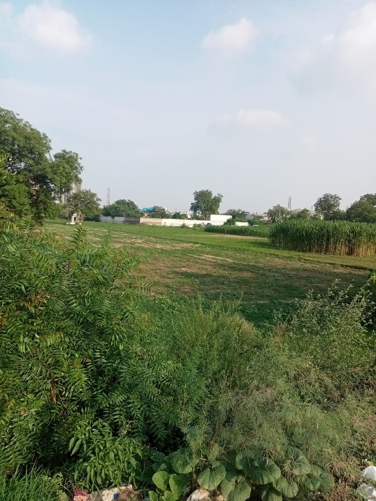 undefined, dharampur  7 Acre Plot In Dharampur Gurgaon 8987388