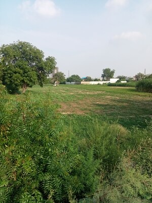  Plot For Sale in Dharampur