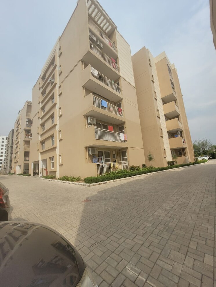 Exterior View, sushma-joynest-zrk 3 Bedroom 1350 Sq.Ft. Apartment In Ghazipur Zirakpur 8987442