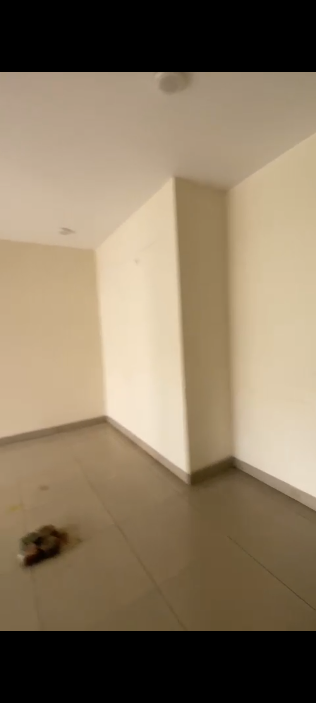 2.5 BHK + Study Room Builder Floor For Rent in Wave Prime Floors