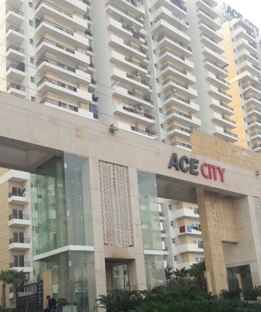 2 BHK Apartment For Sale in Ace City